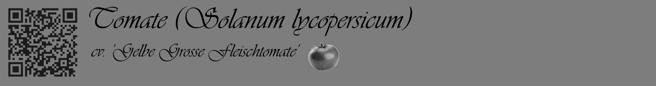 Étiquette de : Solanum lycopersicum cv. 'Gelbe Grosse Fleischtomate' - format c - style noire35_basique_basiqueviv avec qrcode et comestibilité simplifiée