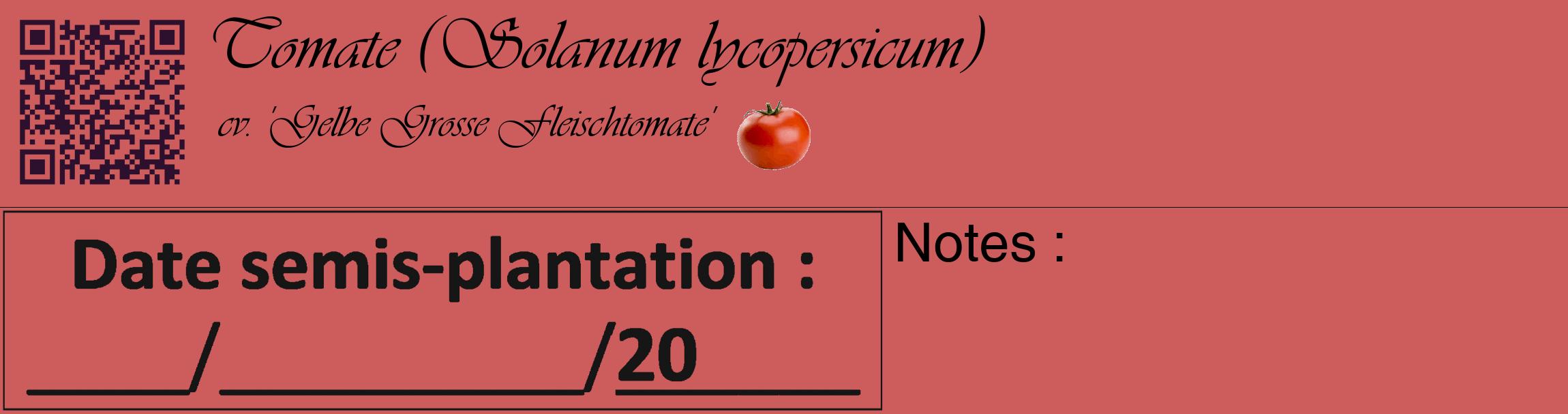 Étiquette de : Solanum lycopersicum cv. 'Gelbe Grosse Fleischtomate' - format c - style noire35_basique_basiqueviv avec qrcode et comestibilité simplifiée