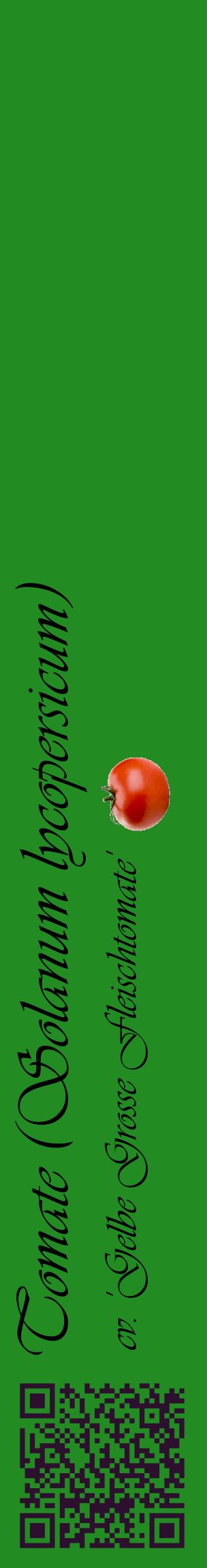 Étiquette de : Solanum lycopersicum cv. 'Gelbe Grosse Fleischtomate' - format c - style noire10_basiqueviv avec qrcode et comestibilité simplifiée
