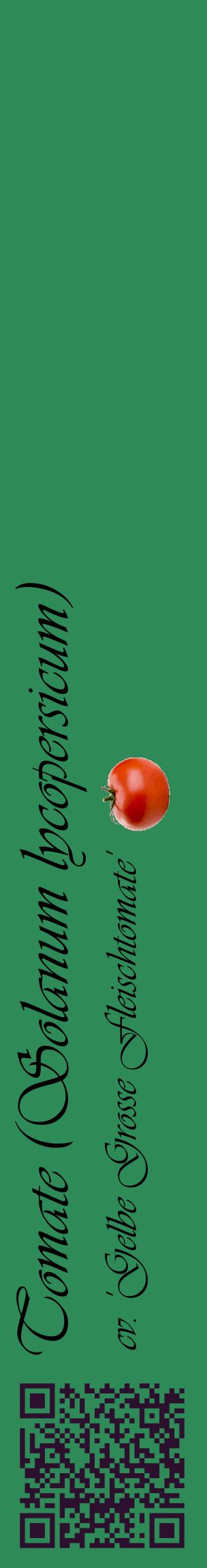 Étiquette de : Solanum lycopersicum cv. 'Gelbe Grosse Fleischtomate' - format c - style noire11_basiqueviv avec qrcode et comestibilité simplifiée