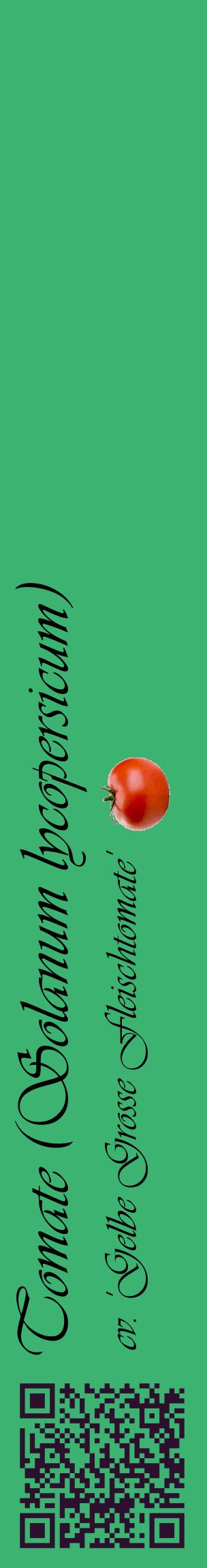 Étiquette de : Solanum lycopersicum cv. 'Gelbe Grosse Fleischtomate' - format c - style noire12_basiqueviv avec qrcode et comestibilité simplifiée