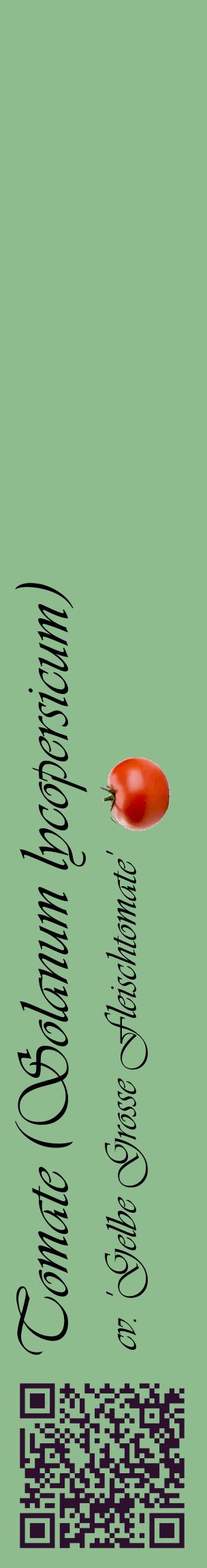 Étiquette de : Solanum lycopersicum cv. 'Gelbe Grosse Fleischtomate' - format c - style noire13_basiqueviv avec qrcode et comestibilité simplifiée
