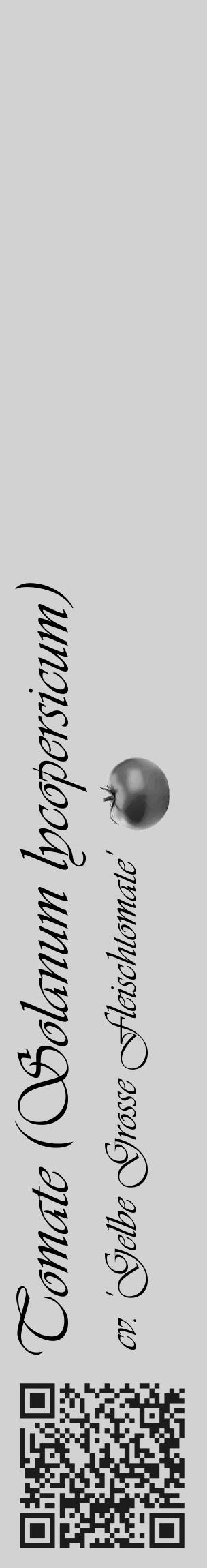 Étiquette de : Solanum lycopersicum cv. 'Gelbe Grosse Fleischtomate' - format c - style noire14_basique_basiqueviv avec qrcode et comestibilité simplifiée - position verticale