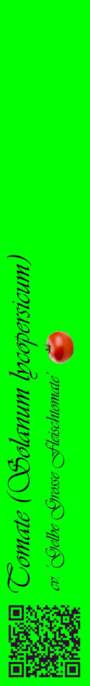 Étiquette de : Solanum lycopersicum cv. 'Gelbe Grosse Fleischtomate' - format c - style noire16_basiqueviv avec qrcode et comestibilité simplifiée