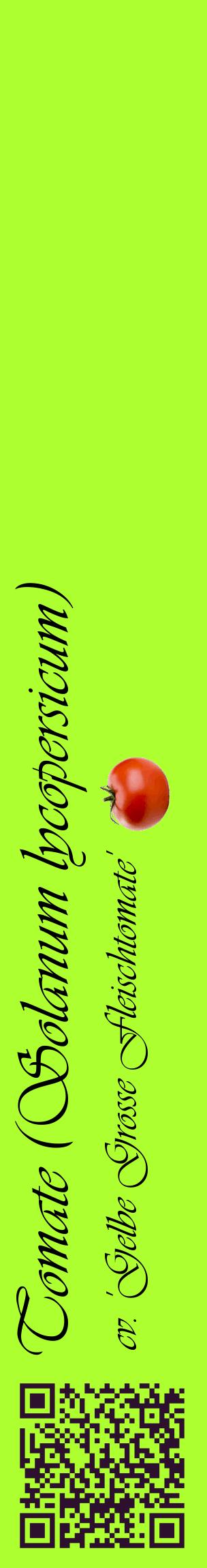 Étiquette de : Solanum lycopersicum cv. 'Gelbe Grosse Fleischtomate' - format c - style noire17_basiqueviv avec qrcode et comestibilité simplifiée