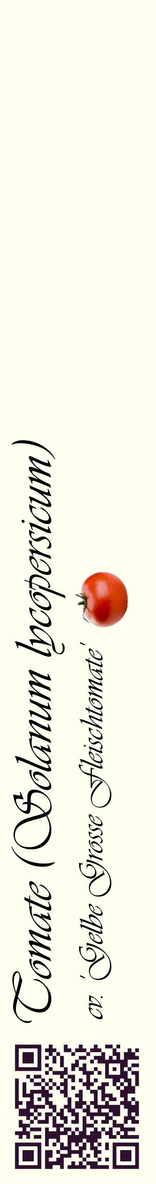 Étiquette de : Solanum lycopersicum cv. 'Gelbe Grosse Fleischtomate' - format c - style noire19_basiqueviv avec qrcode et comestibilité simplifiée