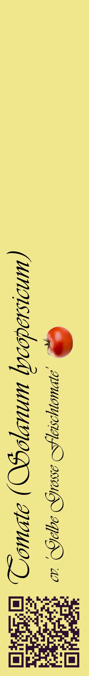 Étiquette de : Solanum lycopersicum cv. 'Gelbe Grosse Fleischtomate' - format c - style noire20_basiqueviv avec qrcode et comestibilité simplifiée