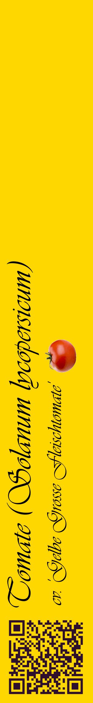 Étiquette de : Solanum lycopersicum cv. 'Gelbe Grosse Fleischtomate' - format c - style noire21_basiqueviv avec qrcode et comestibilité simplifiée