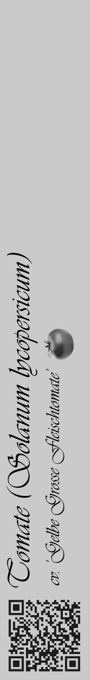 Étiquette de : Solanum lycopersicum cv. 'Gelbe Grosse Fleischtomate' - format c - style noire21_basique_basiqueviv avec qrcode et comestibilité simplifiée - position verticale