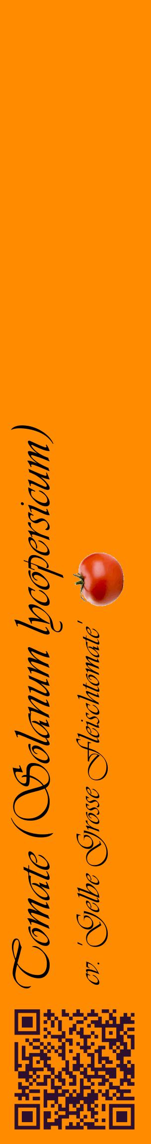 Étiquette de : Solanum lycopersicum cv. 'Gelbe Grosse Fleischtomate' - format c - style noire23_basiqueviv avec qrcode et comestibilité simplifiée
