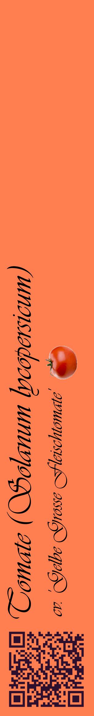 Étiquette de : Solanum lycopersicum cv. 'Gelbe Grosse Fleischtomate' - format c - style noire24_basiqueviv avec qrcode et comestibilité simplifiée