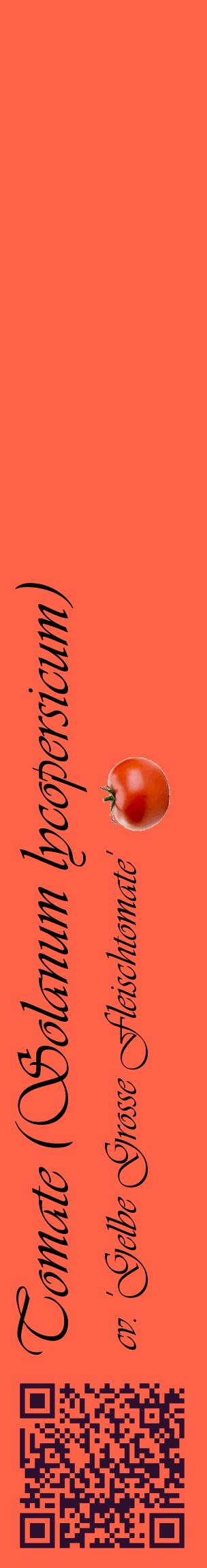 Étiquette de : Solanum lycopersicum cv. 'Gelbe Grosse Fleischtomate' - format c - style noire25_basiqueviv avec qrcode et comestibilité simplifiée