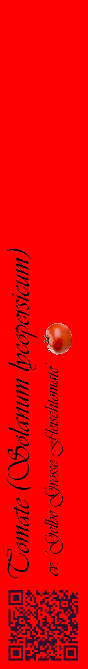 Étiquette de : Solanum lycopersicum cv. 'Gelbe Grosse Fleischtomate' - format c - style noire27_basiqueviv avec qrcode et comestibilité simplifiée