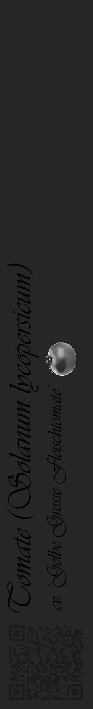 Étiquette de : Solanum lycopersicum cv. 'Gelbe Grosse Fleischtomate' - format c - style noire29_basique_basiqueviv avec qrcode et comestibilité simplifiée - position verticale