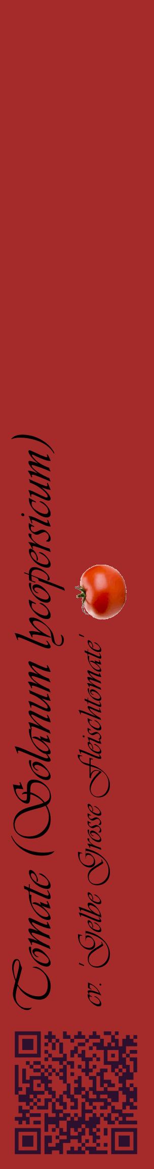 Étiquette de : Solanum lycopersicum cv. 'Gelbe Grosse Fleischtomate' - format c - style noire33_basiqueviv avec qrcode et comestibilité simplifiée