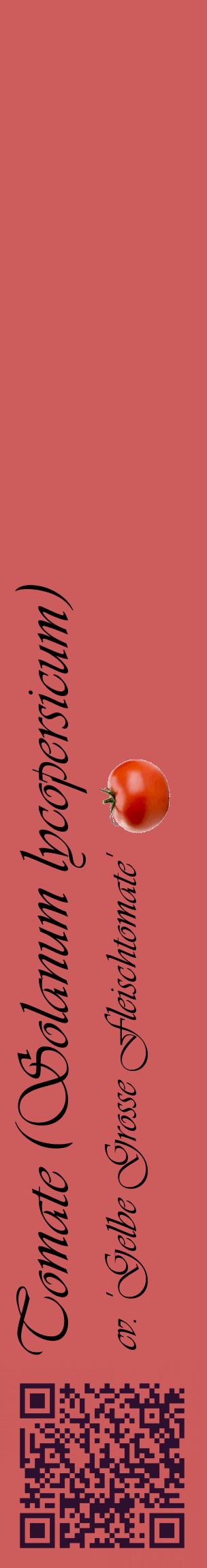 Étiquette de : Solanum lycopersicum cv. 'Gelbe Grosse Fleischtomate' - format c - style noire35_basiqueviv avec qrcode et comestibilité simplifiée