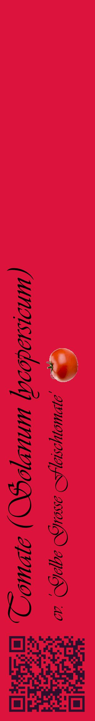 Étiquette de : Solanum lycopersicum cv. 'Gelbe Grosse Fleischtomate' - format c - style noire36_basiqueviv avec qrcode et comestibilité simplifiée