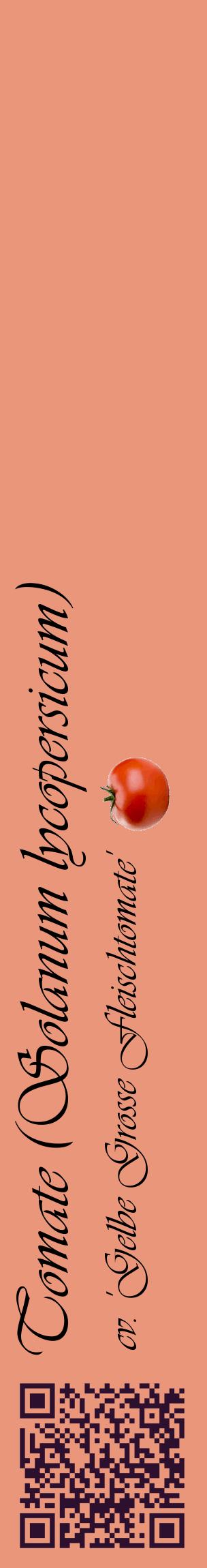 Étiquette de : Solanum lycopersicum cv. 'Gelbe Grosse Fleischtomate' - format c - style noire37_basiqueviv avec qrcode et comestibilité simplifiée