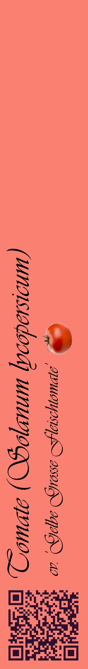 Étiquette de : Solanum lycopersicum cv. 'Gelbe Grosse Fleischtomate' - format c - style noire38_basiqueviv avec qrcode et comestibilité simplifiée