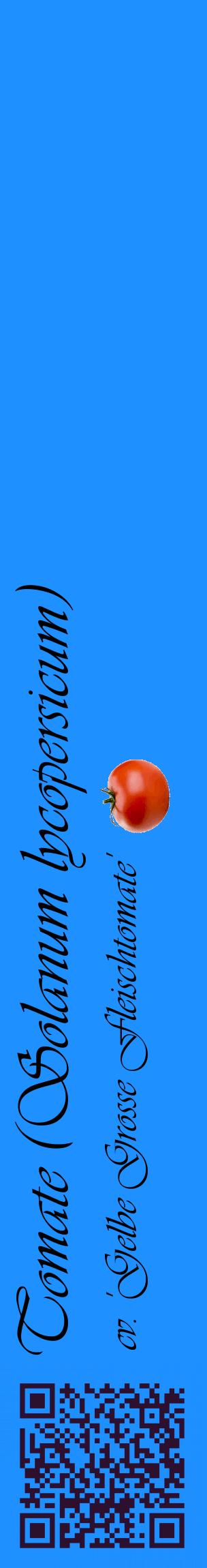 Étiquette de : Solanum lycopersicum cv. 'Gelbe Grosse Fleischtomate' - format c - style noire3_basiqueviv avec qrcode et comestibilité simplifiée