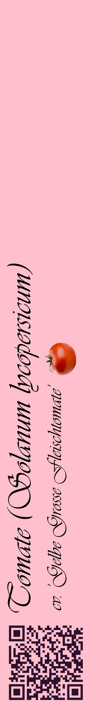 Étiquette de : Solanum lycopersicum cv. 'Gelbe Grosse Fleischtomate' - format c - style noire40_basiqueviv avec qrcode et comestibilité simplifiée