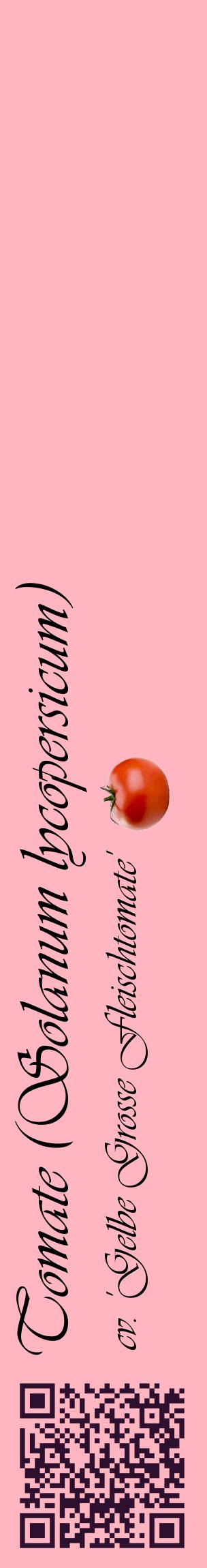 Étiquette de : Solanum lycopersicum cv. 'Gelbe Grosse Fleischtomate' - format c - style noire41_basiqueviv avec qrcode et comestibilité simplifiée