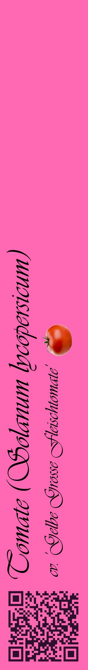 Étiquette de : Solanum lycopersicum cv. 'Gelbe Grosse Fleischtomate' - format c - style noire42_basiqueviv avec qrcode et comestibilité simplifiée