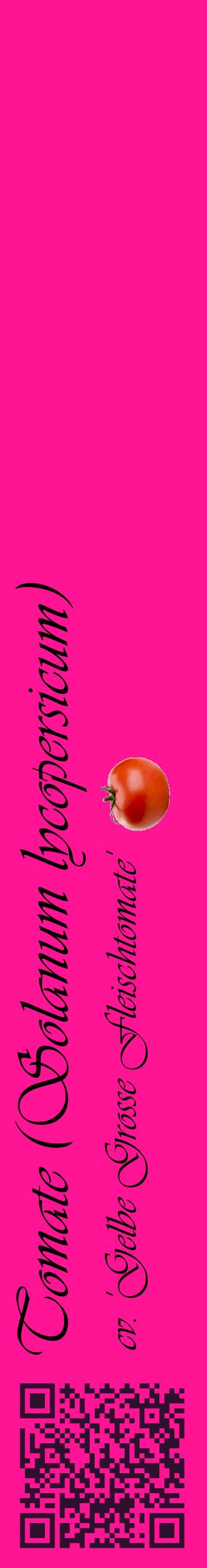 Étiquette de : Solanum lycopersicum cv. 'Gelbe Grosse Fleischtomate' - format c - style noire43_basiqueviv avec qrcode et comestibilité simplifiée