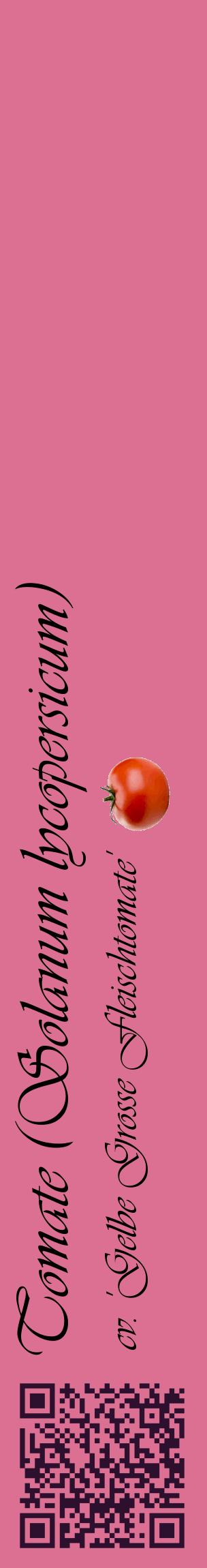 Étiquette de : Solanum lycopersicum cv. 'Gelbe Grosse Fleischtomate' - format c - style noire44_basiqueviv avec qrcode et comestibilité simplifiée