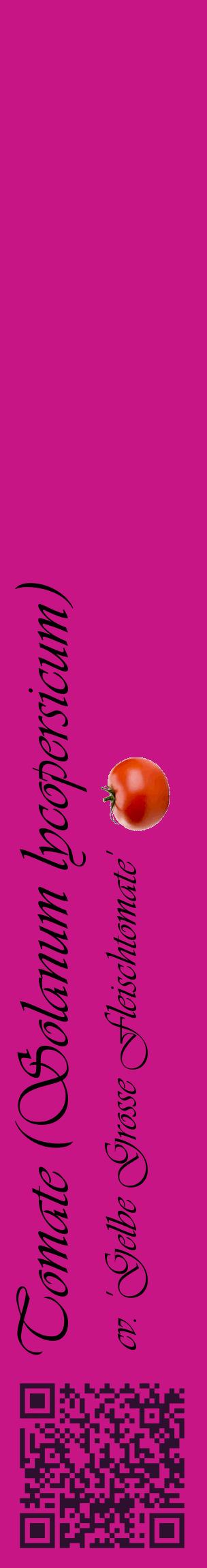 Étiquette de : Solanum lycopersicum cv. 'Gelbe Grosse Fleischtomate' - format c - style noire45_basiqueviv avec qrcode et comestibilité simplifiée