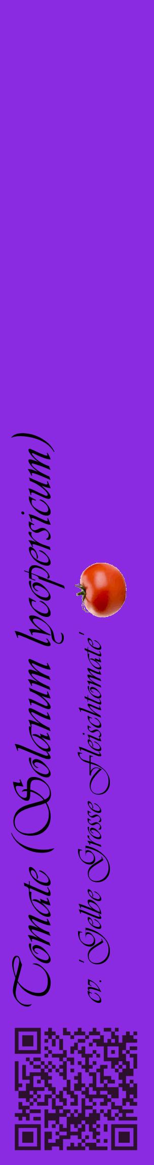 Étiquette de : Solanum lycopersicum cv. 'Gelbe Grosse Fleischtomate' - format c - style noire49_basiqueviv avec qrcode et comestibilité simplifiée