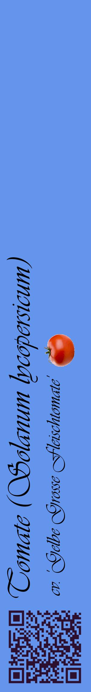 Étiquette de : Solanum lycopersicum cv. 'Gelbe Grosse Fleischtomate' - format c - style noire4_basiqueviv avec qrcode et comestibilité simplifiée