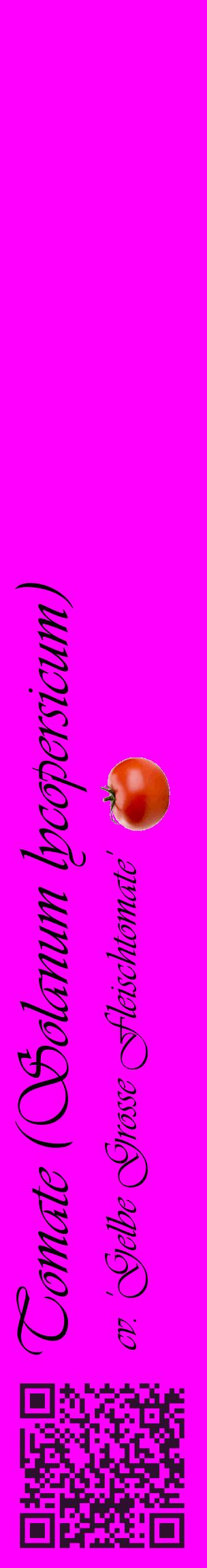 Étiquette de : Solanum lycopersicum cv. 'Gelbe Grosse Fleischtomate' - format c - style noire51_basiqueviv avec qrcode et comestibilité simplifiée