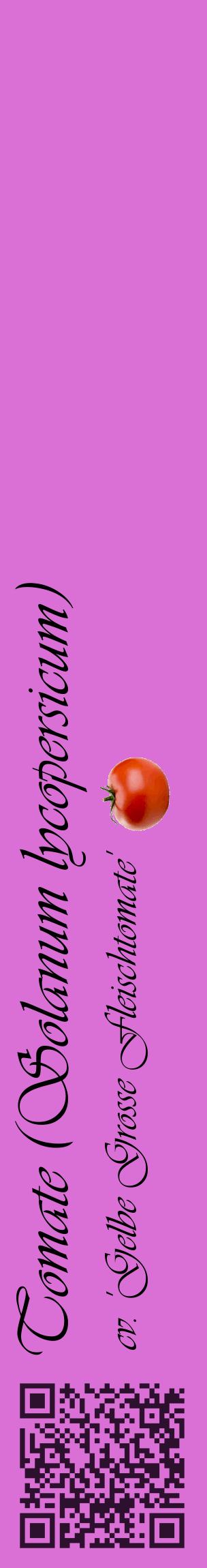 Étiquette de : Solanum lycopersicum cv. 'Gelbe Grosse Fleischtomate' - format c - style noire52_basiqueviv avec qrcode et comestibilité simplifiée