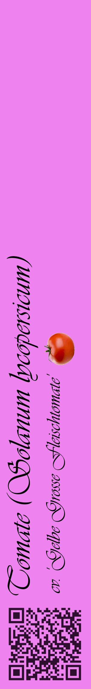 Étiquette de : Solanum lycopersicum cv. 'Gelbe Grosse Fleischtomate' - format c - style noire53_basiqueviv avec qrcode et comestibilité simplifiée