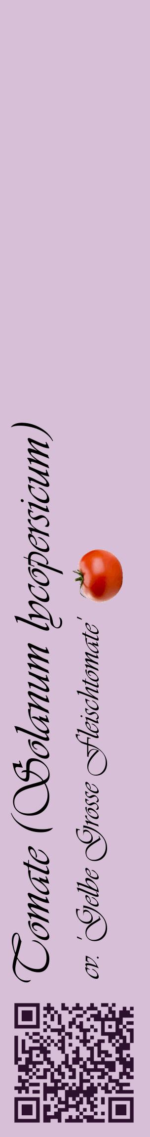 Étiquette de : Solanum lycopersicum cv. 'Gelbe Grosse Fleischtomate' - format c - style noire54_basiqueviv avec qrcode et comestibilité simplifiée
