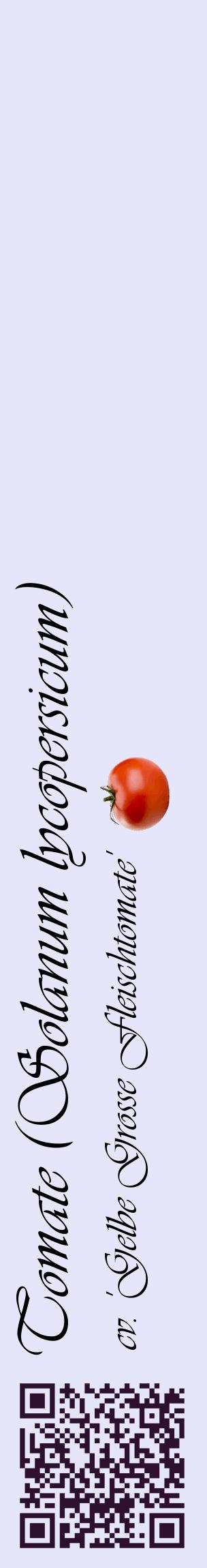 Étiquette de : Solanum lycopersicum cv. 'Gelbe Grosse Fleischtomate' - format c - style noire55_basiqueviv avec qrcode et comestibilité simplifiée