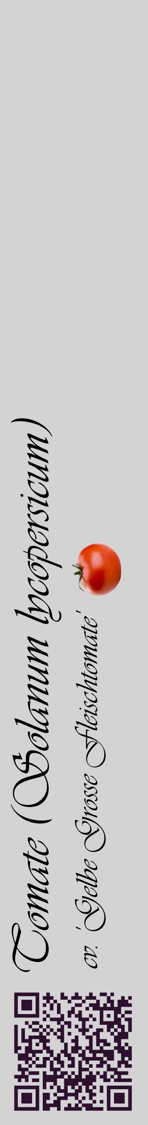 Étiquette de : Solanum lycopersicum cv. 'Gelbe Grosse Fleischtomate' - format c - style noire56_basiqueviv avec qrcode et comestibilité simplifiée