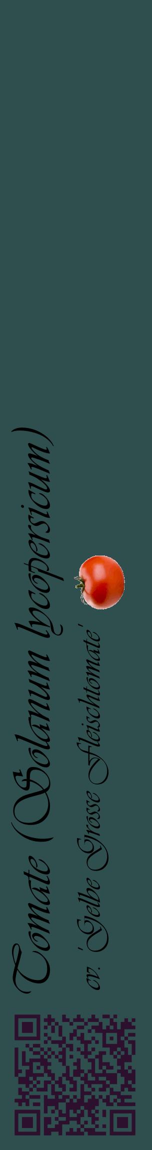 Étiquette de : Solanum lycopersicum cv. 'Gelbe Grosse Fleischtomate' - format c - style noire58_basiqueviv avec qrcode et comestibilité simplifiée