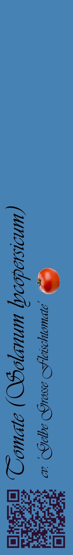 Étiquette de : Solanum lycopersicum cv. 'Gelbe Grosse Fleischtomate' - format c - style noire5_basiqueviv avec qrcode et comestibilité simplifiée