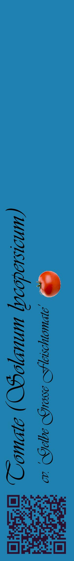 Étiquette de : Solanum lycopersicum cv. 'Gelbe Grosse Fleischtomate' - format c - style noire6_basiqueviv avec qrcode et comestibilité simplifiée