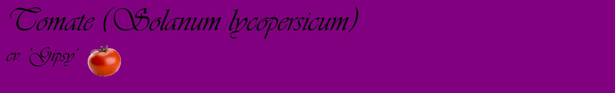 Étiquette de : Solanum lycopersicum cv. 'Gipsy' - format c - style noire46basique_basique_basiqueviv avec comestibilité simplifiée