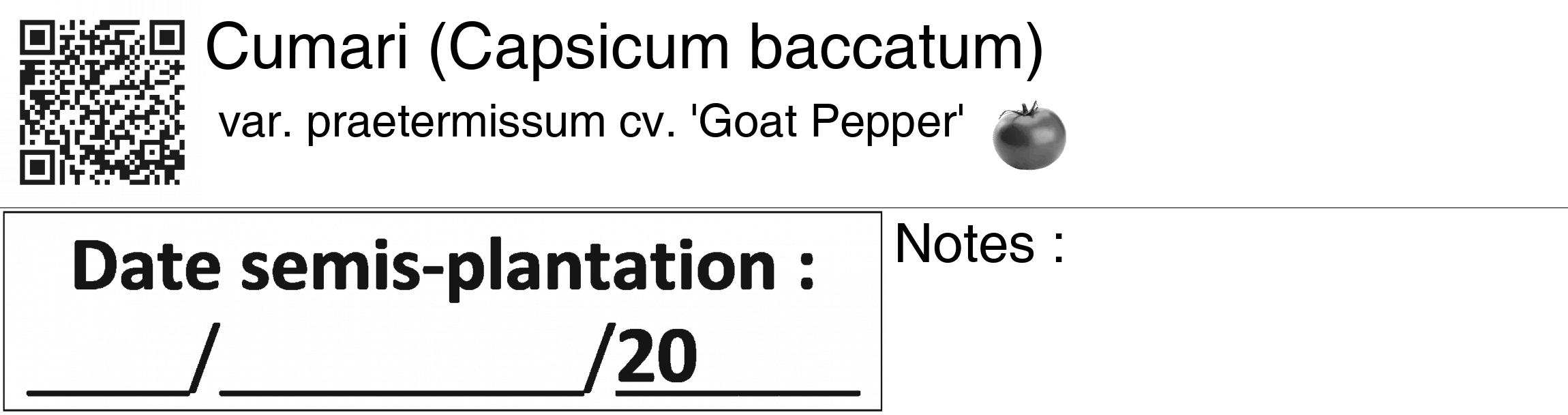 Étiquette de : Capsicum baccatum var. praetermissum cv. 'Goat Pepper' - format c - style noire60_basiquegrrvhel avec qrcode et comestibilité simplifiée