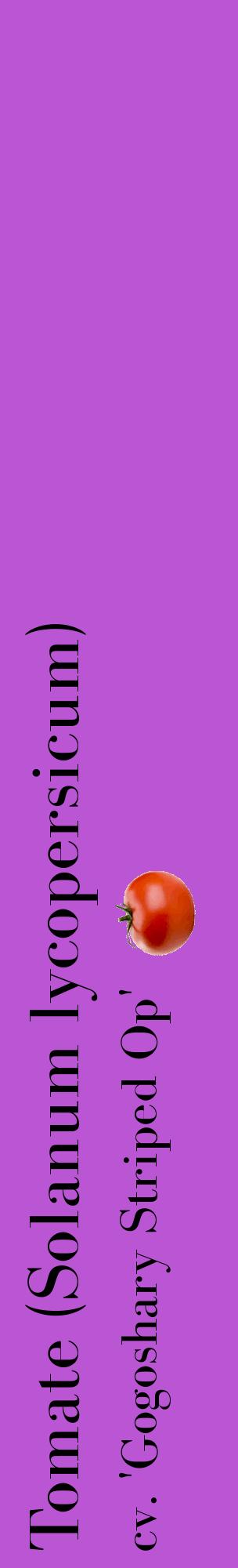 Étiquette de : Solanum lycopersicum cv. 'Gogoshary Striped Op' - format c - style noire50_basiquebod avec comestibilité simplifiée