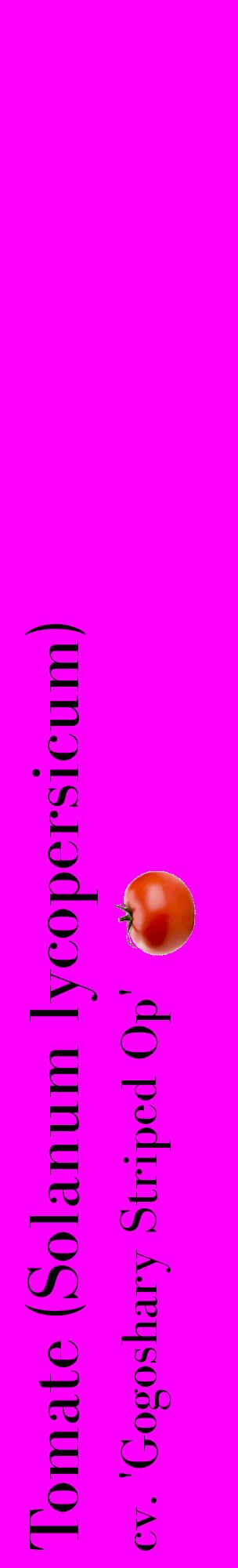 Étiquette de : Solanum lycopersicum cv. 'Gogoshary Striped Op' - format c - style noire51_basiquebod avec comestibilité simplifiée