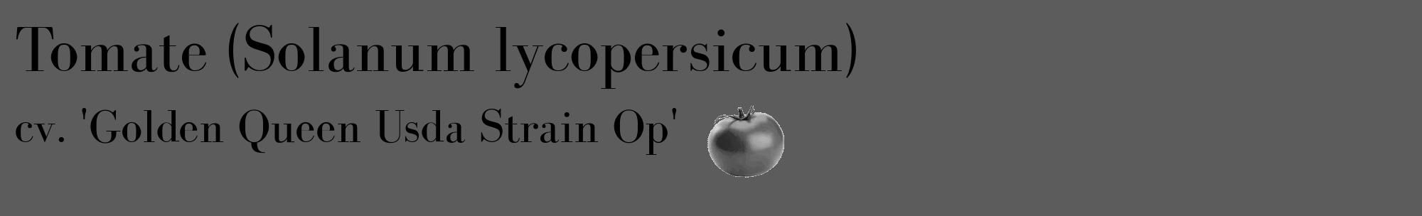 Étiquette de : Solanum lycopersicum cv. 'Golden Queen Usda Strain Op' - format c - style noire49_basique_basiquebod avec comestibilité simplifiée