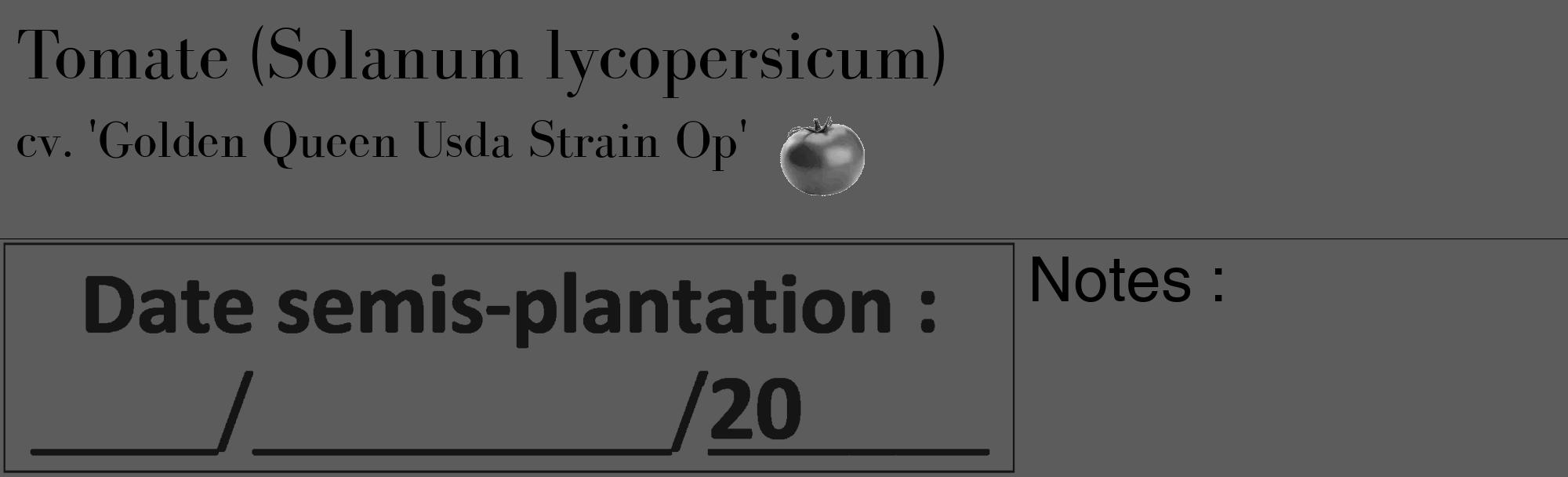 Étiquette de : Solanum lycopersicum cv. 'Golden Queen Usda Strain Op' - format c - style noire49_basique_basiquebod avec comestibilité simplifiée