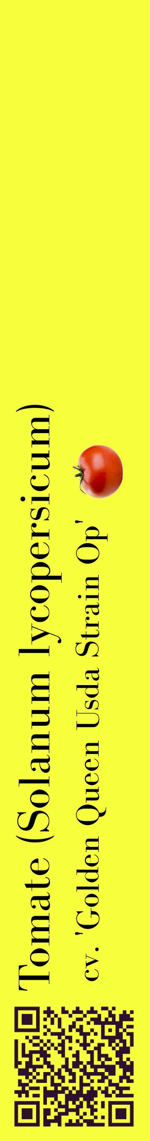 Étiquette de : Solanum lycopersicum cv. 'Golden Queen Usda Strain Op' - format c - style noire18_basiquebod avec qrcode et comestibilité simplifiée