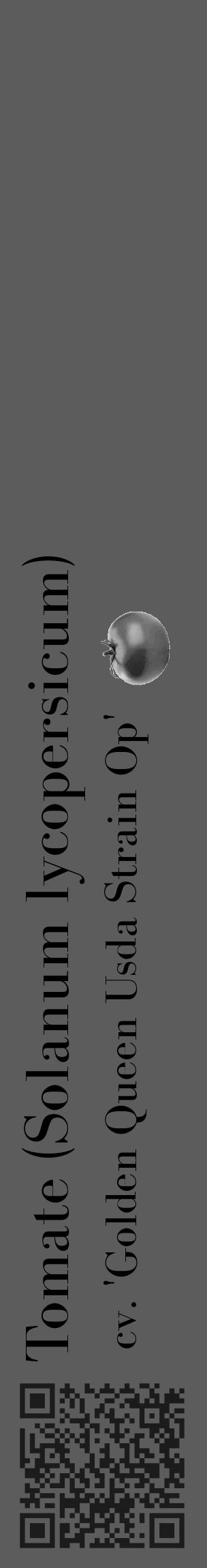 Étiquette de : Solanum lycopersicum cv. 'Golden Queen Usda Strain Op' - format c - style noire49_basique_basiquebod avec qrcode et comestibilité simplifiée - position verticale