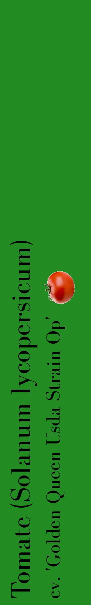 Étiquette de : Solanum lycopersicum cv. 'Golden Queen Usda Strain Op' - format c - style noire10_basiquebod avec comestibilité simplifiée